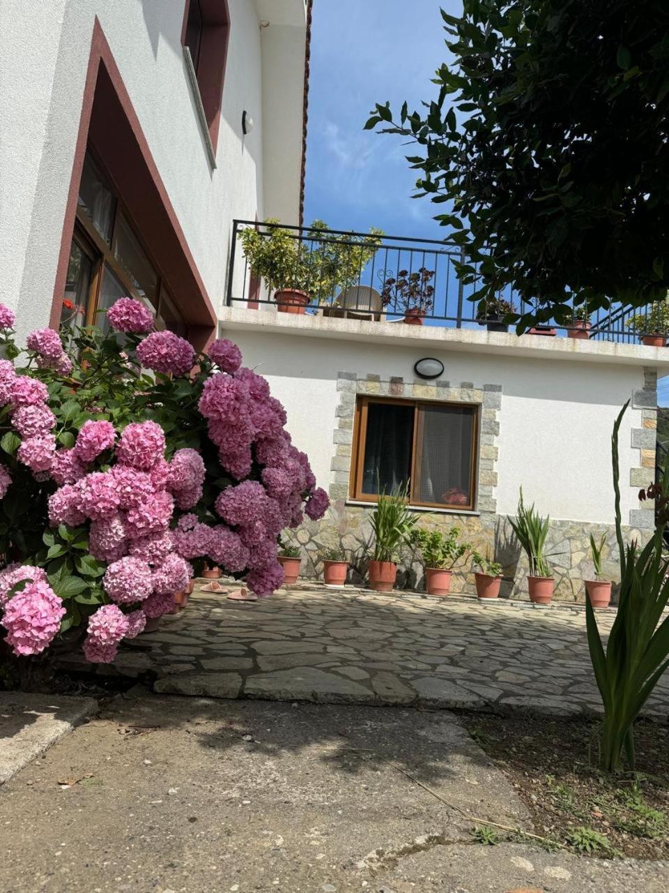 Villa Zefi Rrenc Papaj Extérieur photo